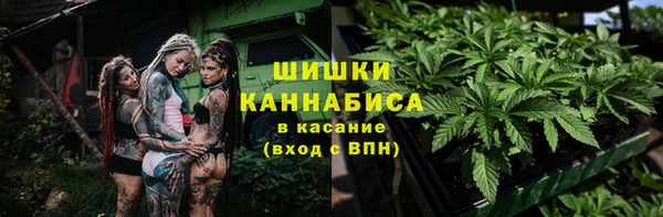 сатива Алзамай
