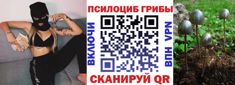 наркота  Собинка  Псилоцибиновые грибы мицелий 